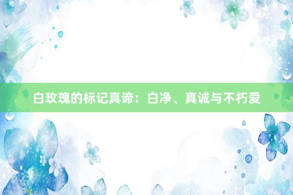 白玫瑰的标记真谛：白净、真诚与不朽爱